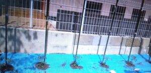 トマト苗植え付け